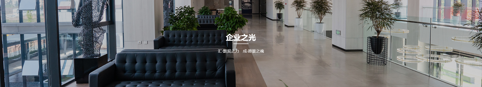 先進企業(yè)